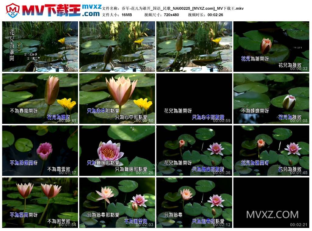 乔军-花儿为谁开_国语_民歌_NAI00225